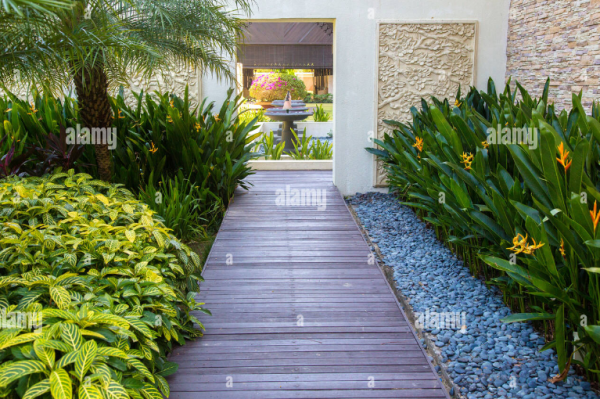 Taman dengan konsep hutan tropis dengan pepohonan lebat dan tanaman liar